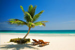 Caraibi