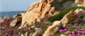 viaggio sardegna