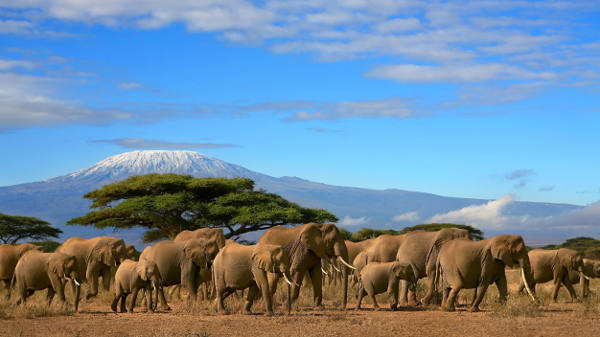 Kenya - offerte vacanze